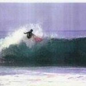 Meet your Posher, Jamie